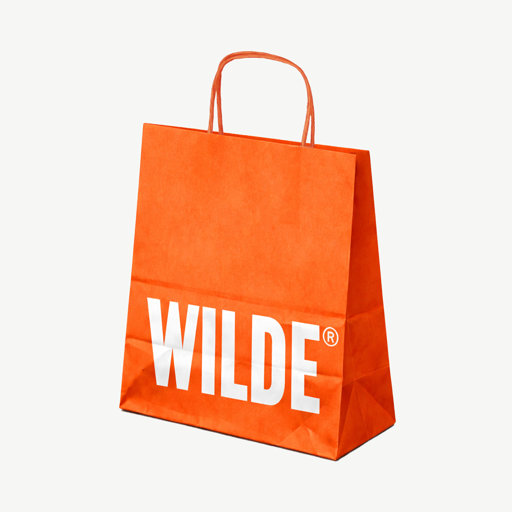 Premium twisted handle paper bags with custom print